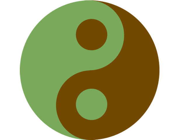 logo yin yang reflexologie  detente